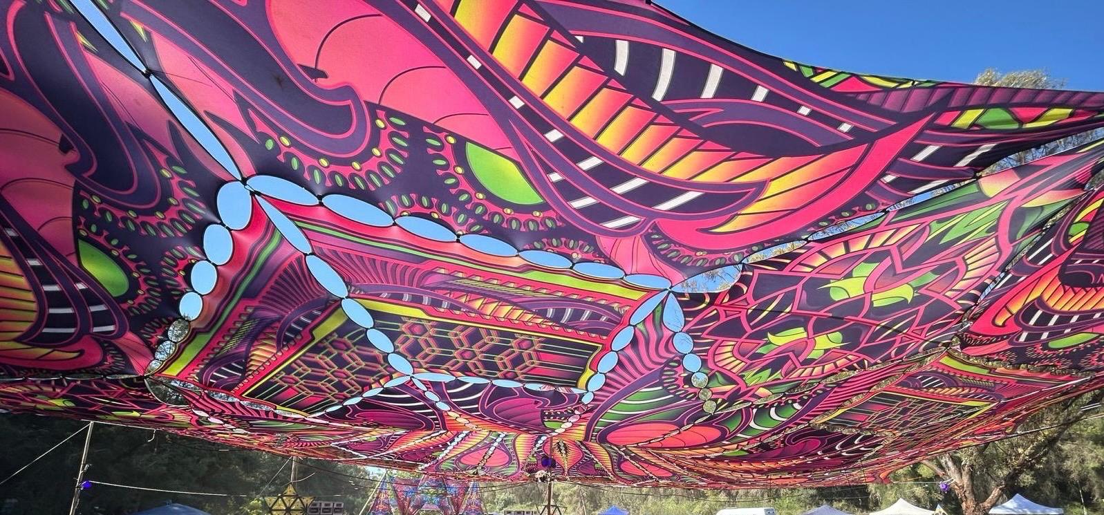 ציליות פסיכדליות 1